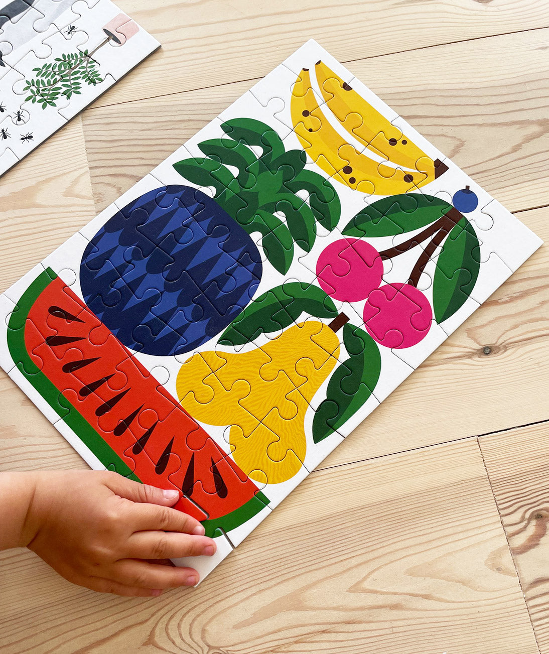 Fruit Jigsaw Puzzle for Kids (50 Pieces) image 3