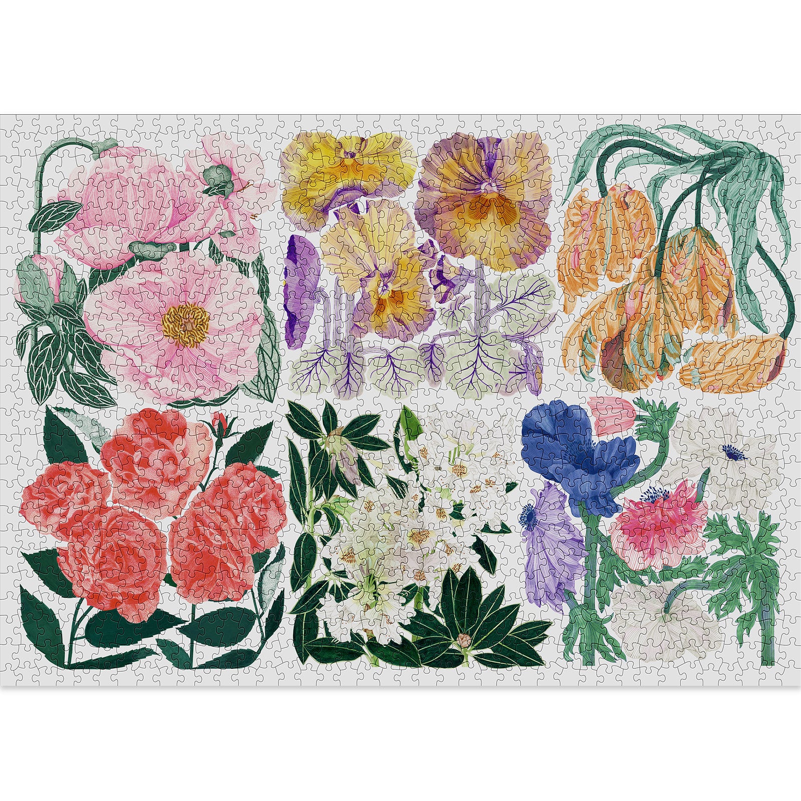 Flora 1000 Piece Puzzle (Small Batch) image 1