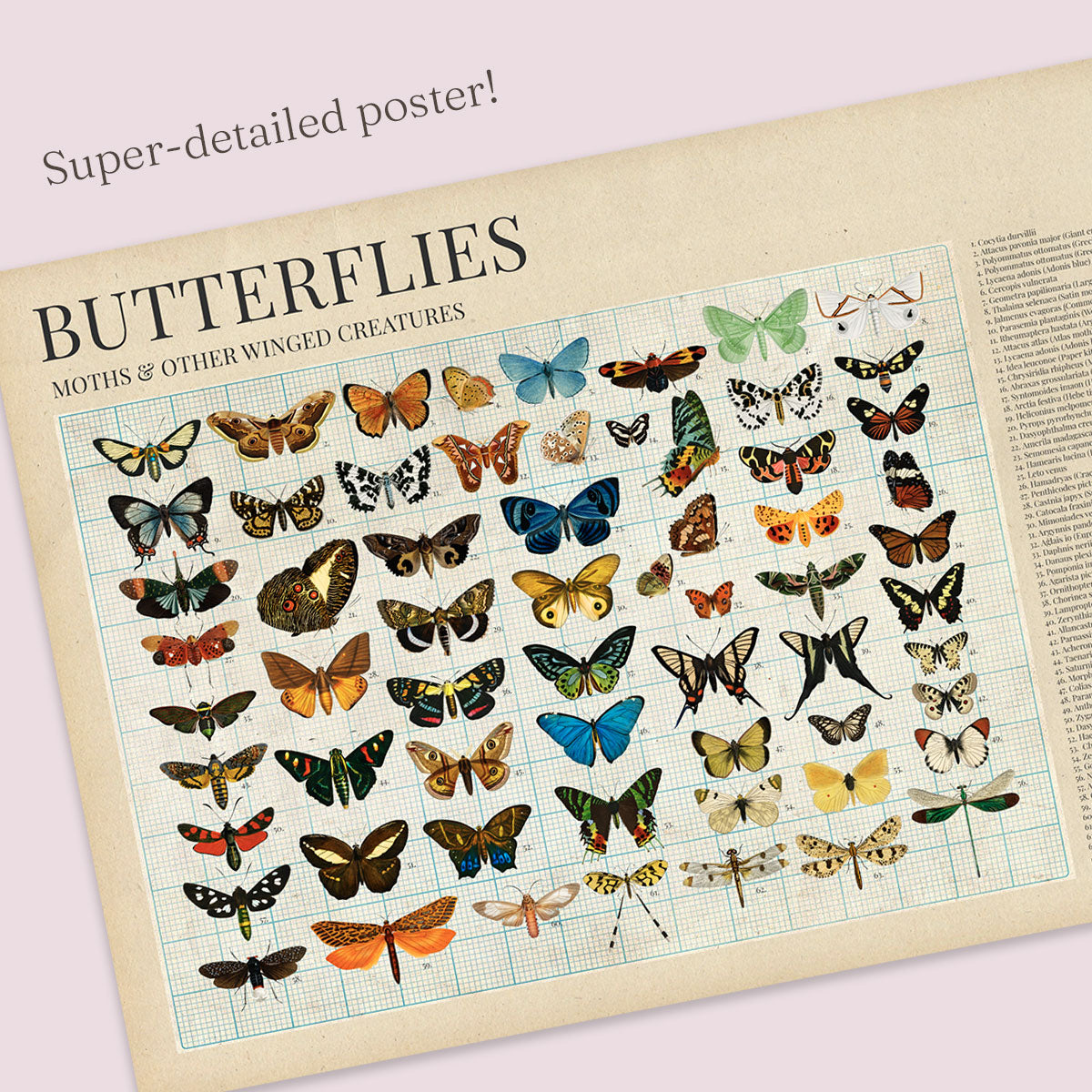 Entomologie-Puzzle (1000 Teile)