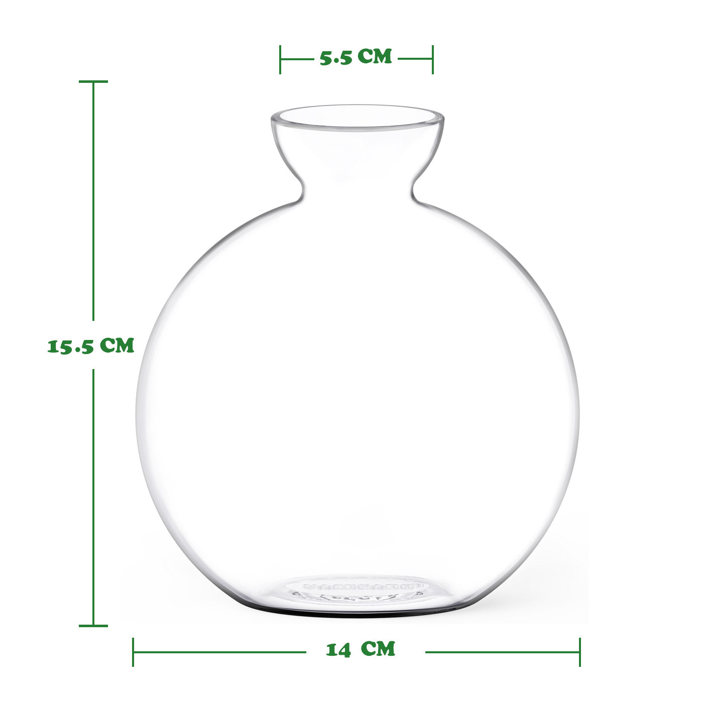Vasecado® Avocado Seed Vase image 6