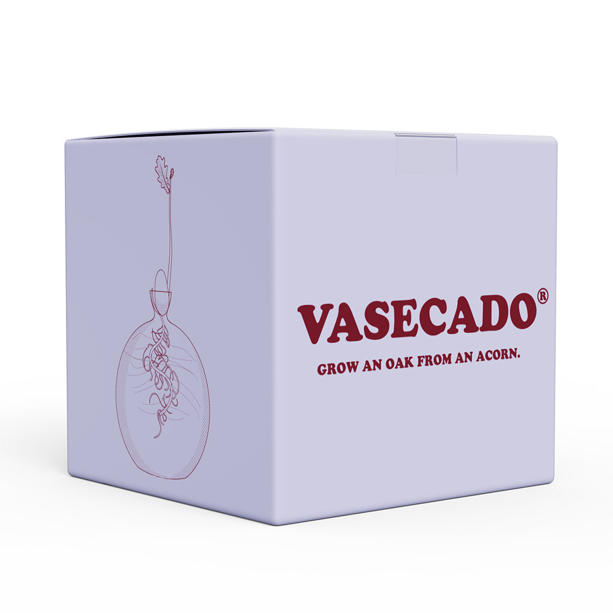 Vasecado® Acorn Seed Vase image 2