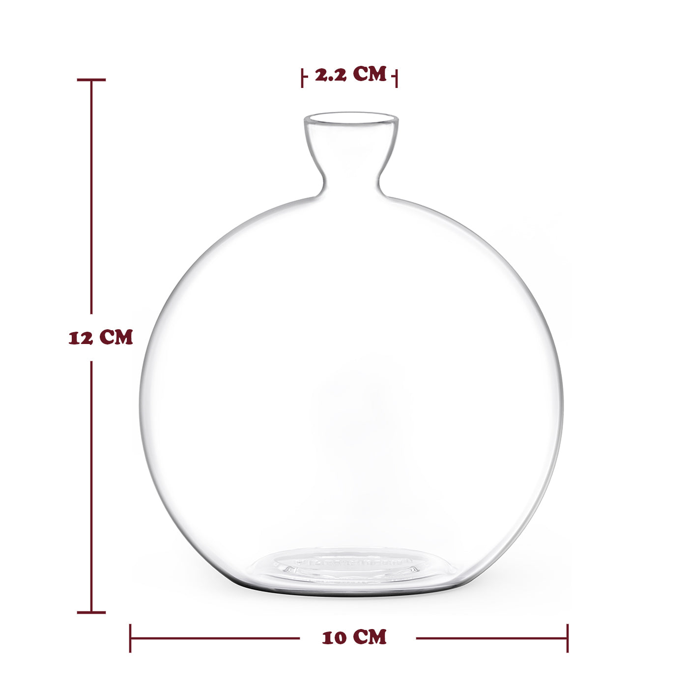Vasecado® Acorn Seed Vase image 3
