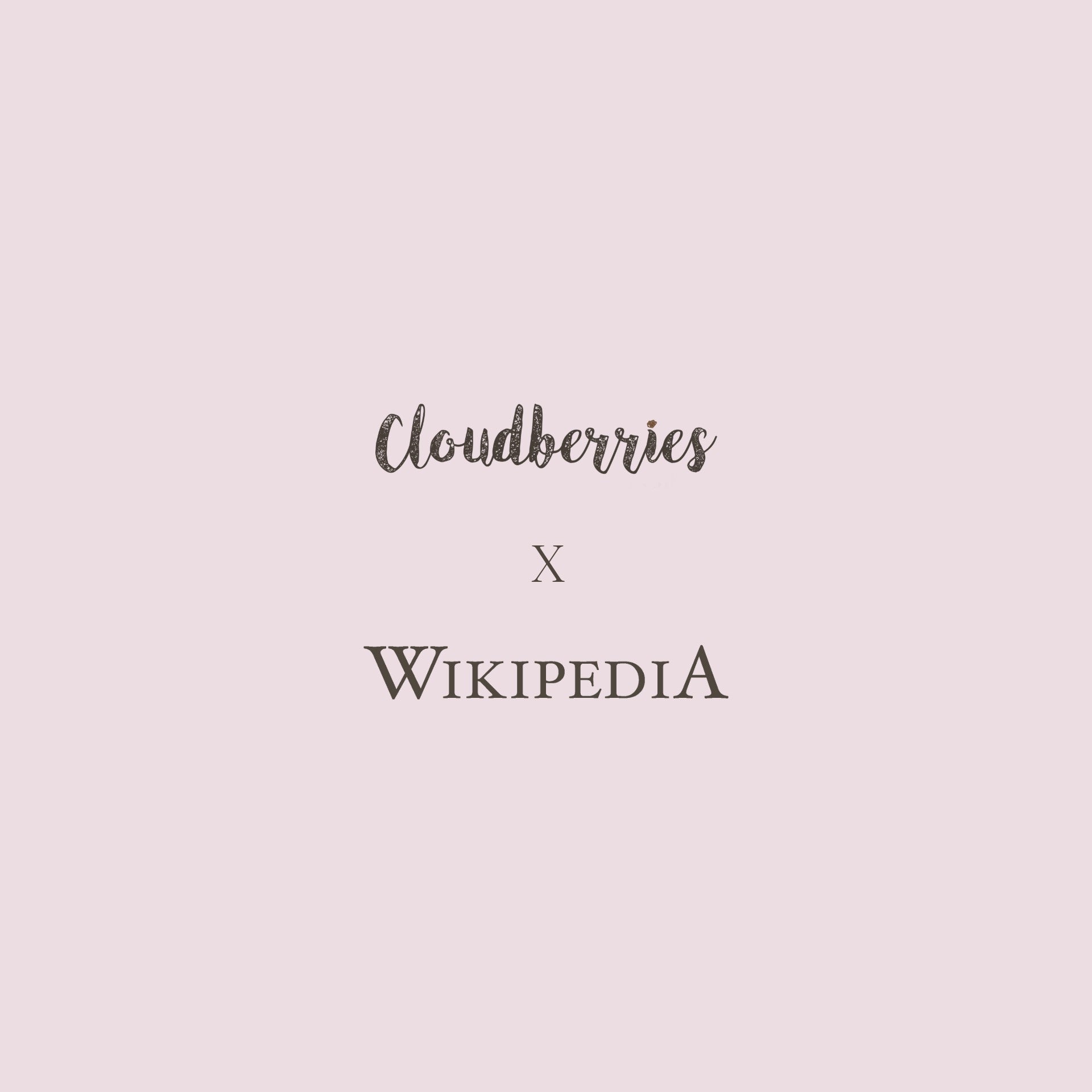 Wikipedia® 25 Puzzle (Limited Edition)
