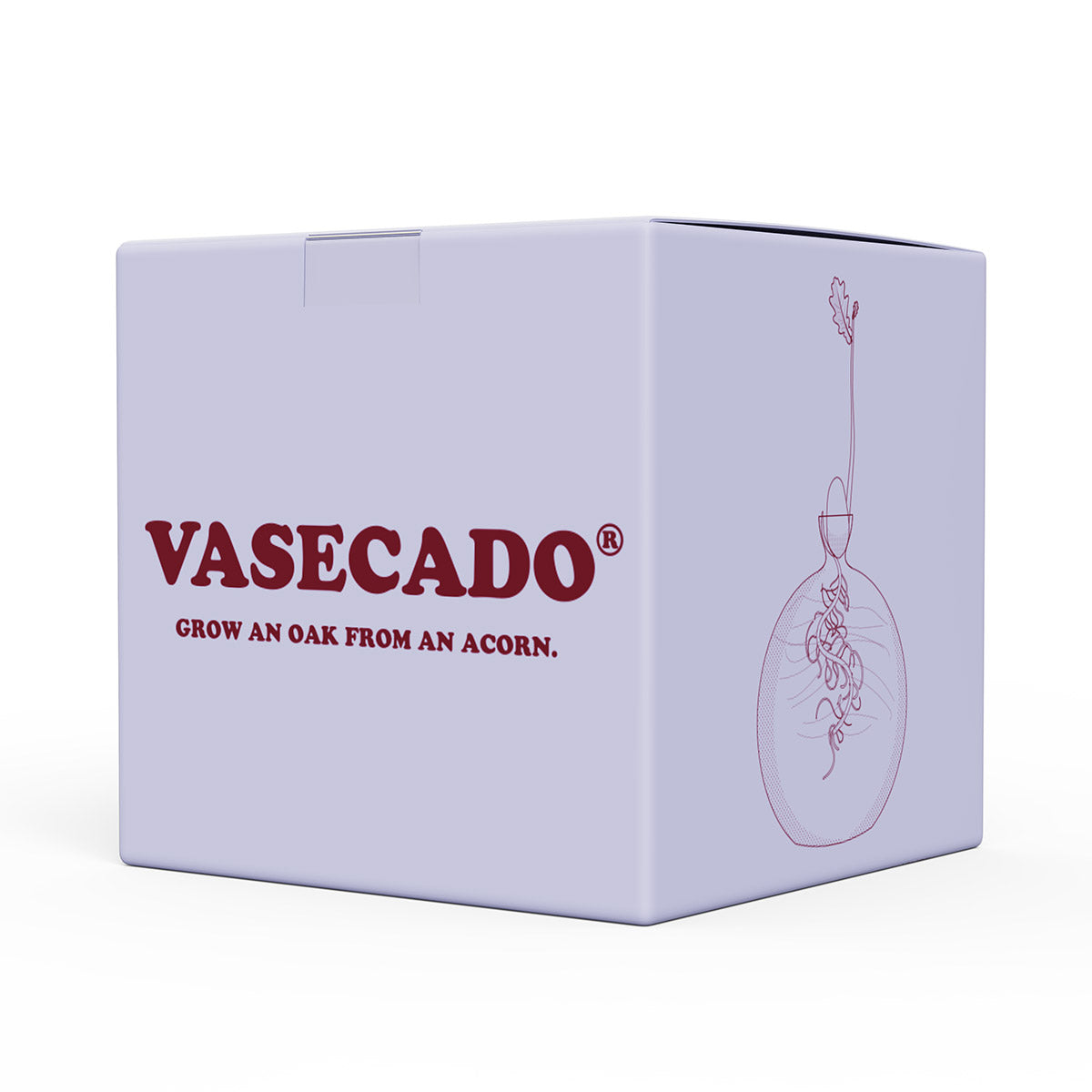 Vasecado® Acorn Seed Vase image 4