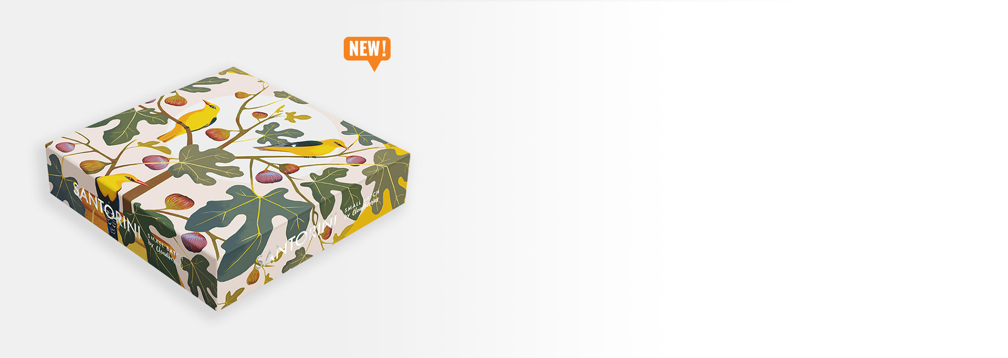 BUY 2 GET 1 free Blox Game Peripheral Fruit Leopard Print Box